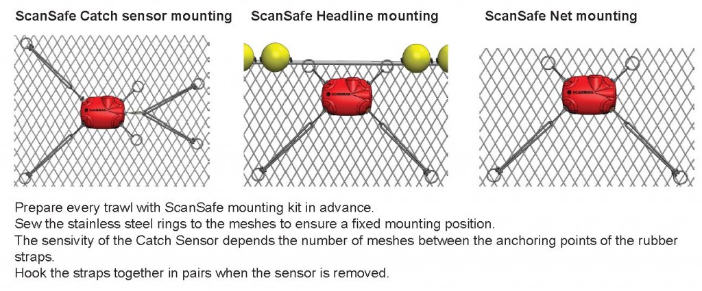 scansafe-1024x425